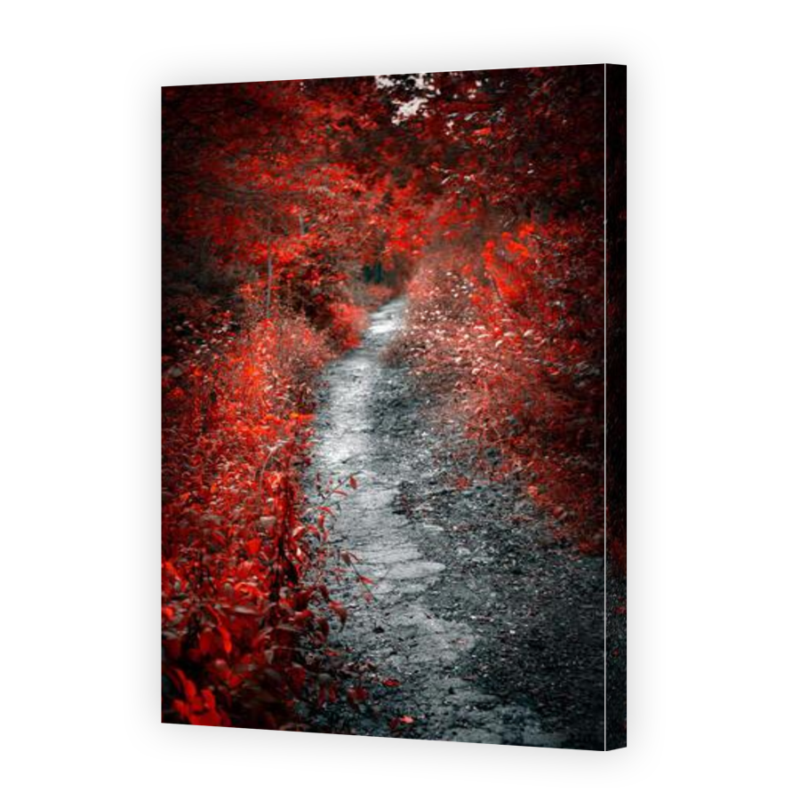 Thumbnail for Canvas - Gallery Canvas Wrap