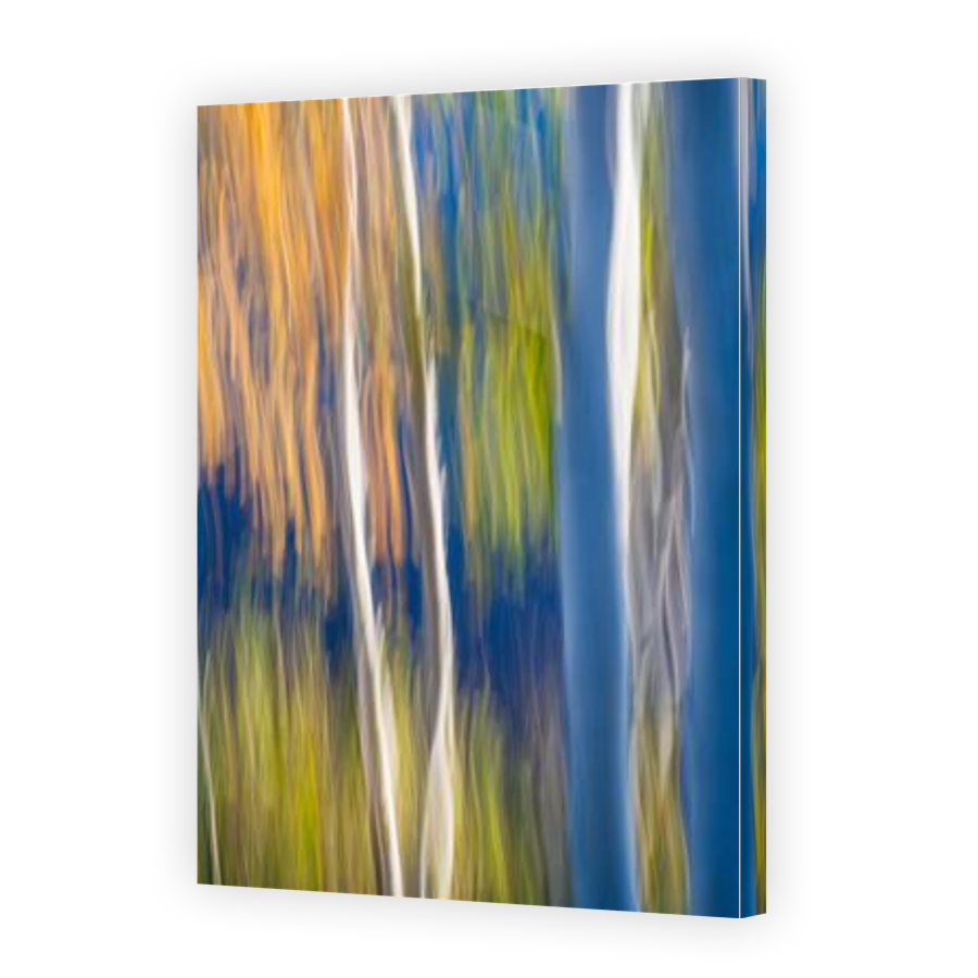 Thumbnail for Canvas - Gallery Canvas Wrap