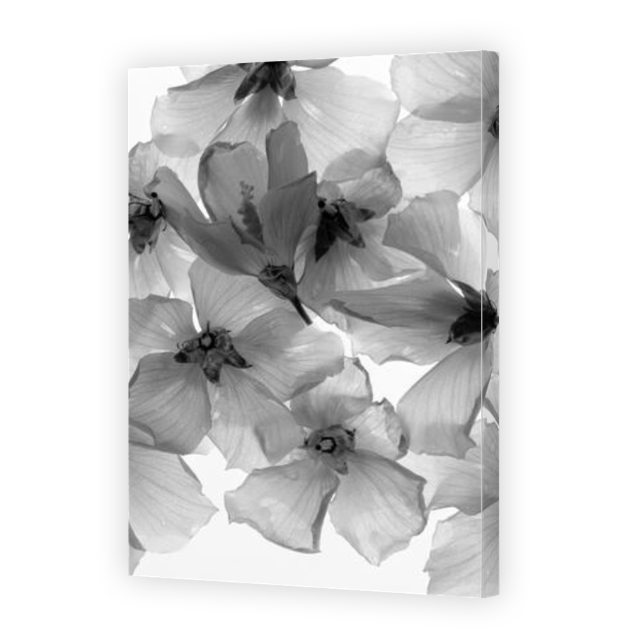 Thumbnail for Canvas - Gallery Canvas Wrap