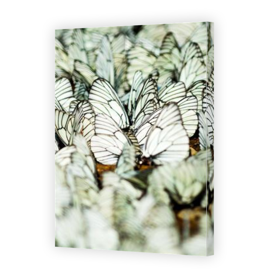 Thumbnail for Canvas - Gallery Canvas Wrap