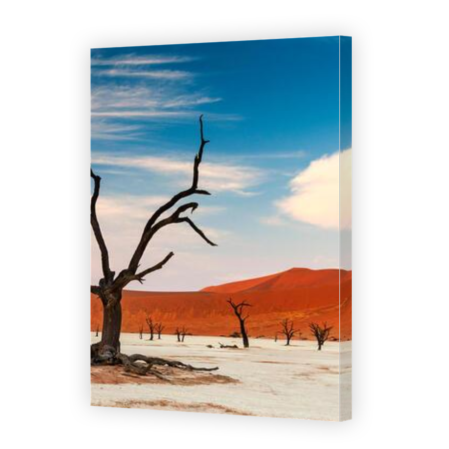 Thumbnail for Canvas - Gallery Canvas Wrap