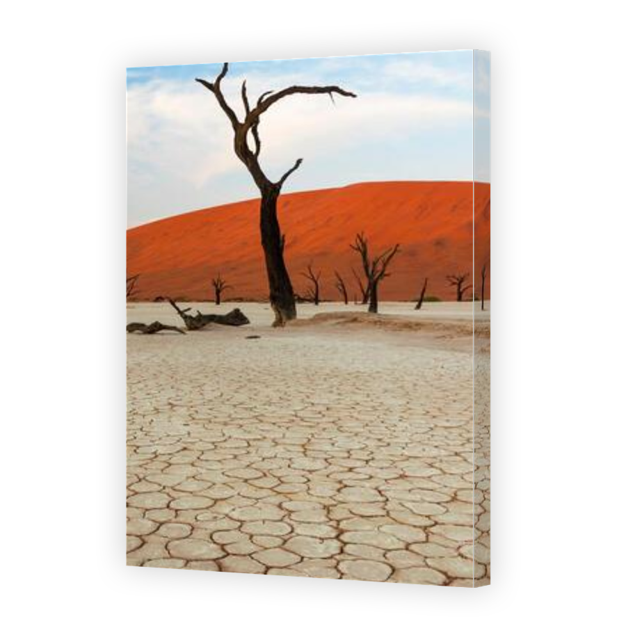 Thumbnail for Canvas - Gallery Canvas Wrap