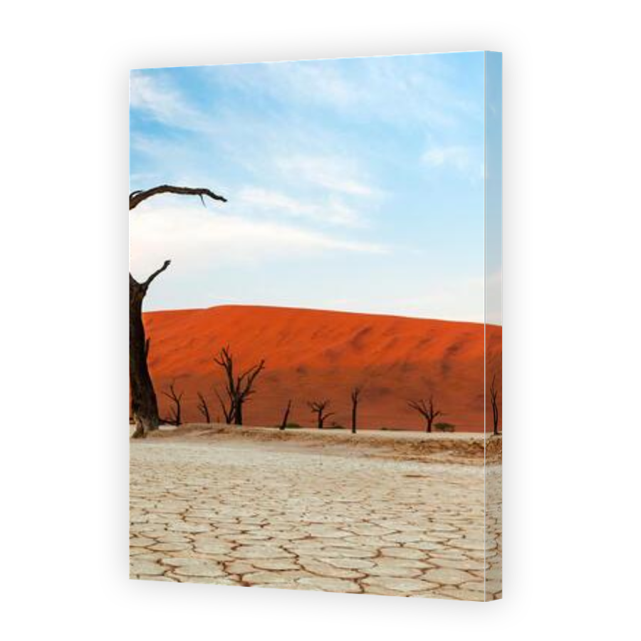 Thumbnail for Canvas - Gallery Canvas Wrap