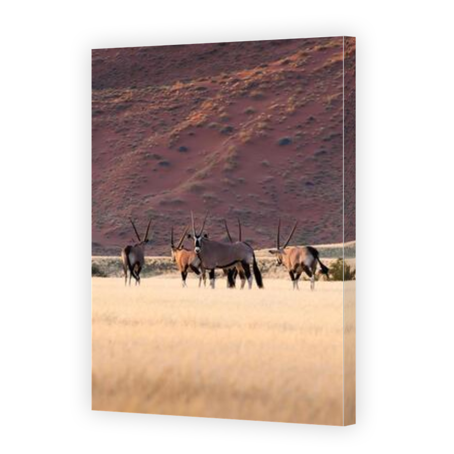 Thumbnail for Canvas - Gallery Canvas Wrap