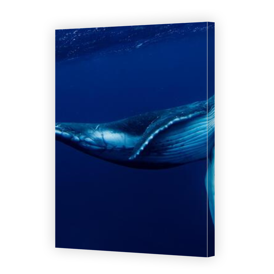 Thumbnail for Canvas - Gallery Canvas Wrap
