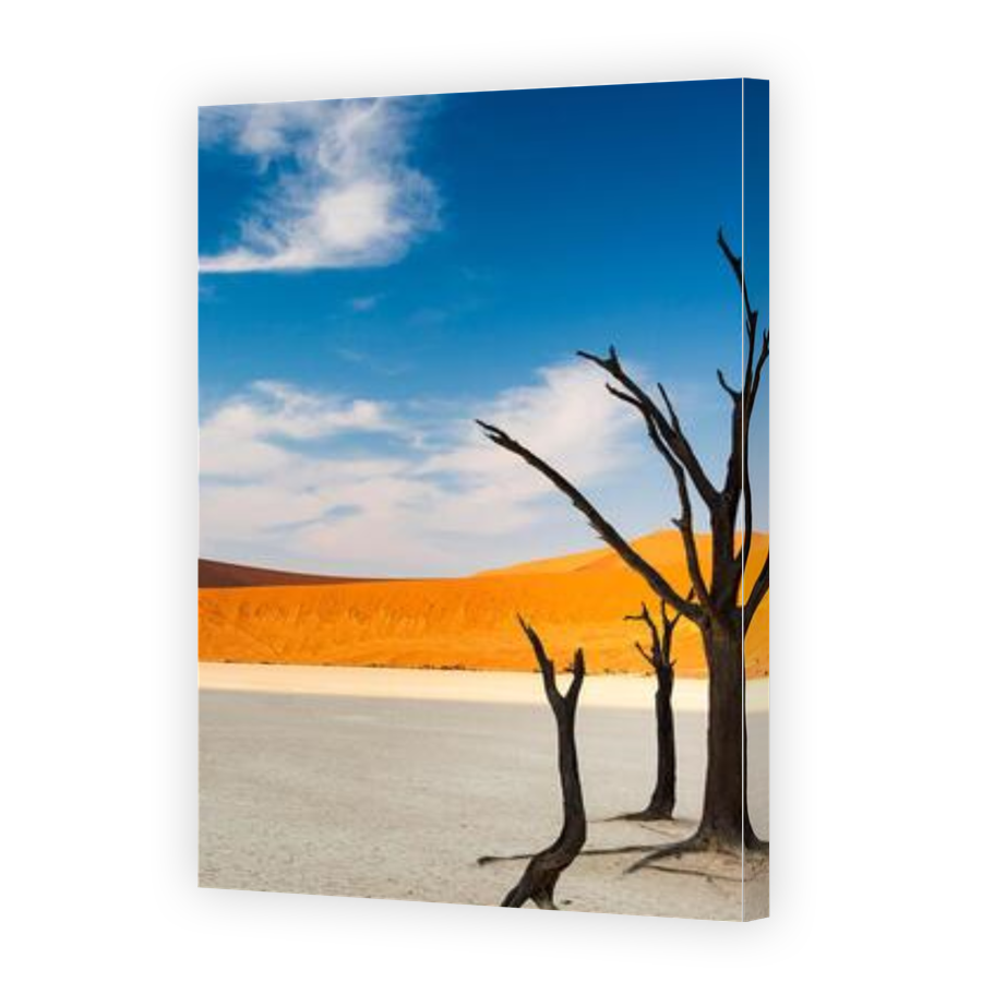 Thumbnail for Canvas - Gallery Canvas Wrap