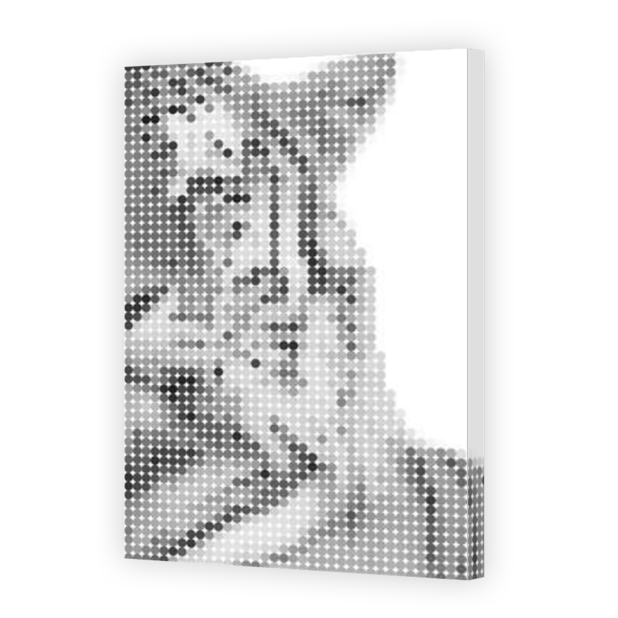 Thumbnail for Canvas - Gallery Canvas Wrap