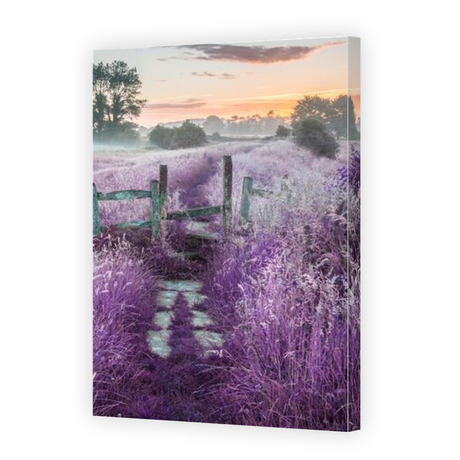 Thumbnail for Canvas - Gallery Canvas Wrap
