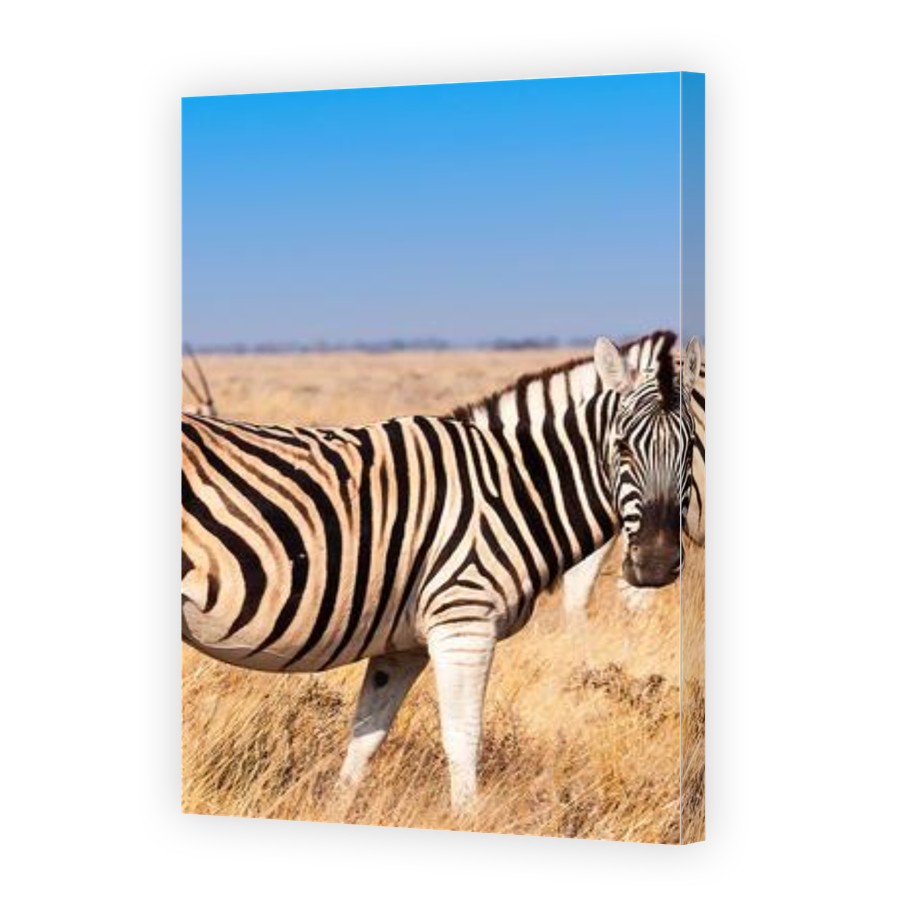 Thumbnail for Canvas - Gallery Canvas Wrap