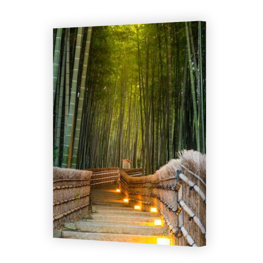 Thumbnail for Canvas - Gallery Canvas Wrap