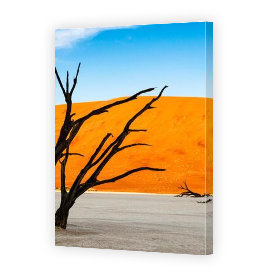 Thumbnail for Canvas - Gallery Canvas Wrap