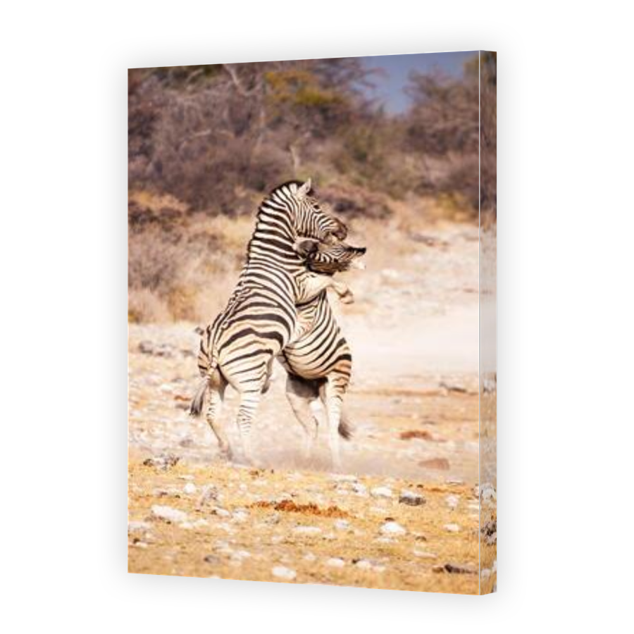 Thumbnail for Canvas - Gallery Canvas Wrap