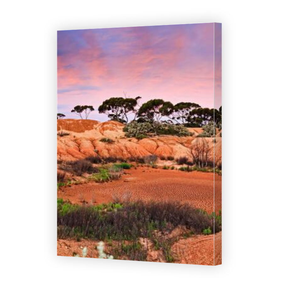 Thumbnail for Canvas - Gallery Canvas Wrap