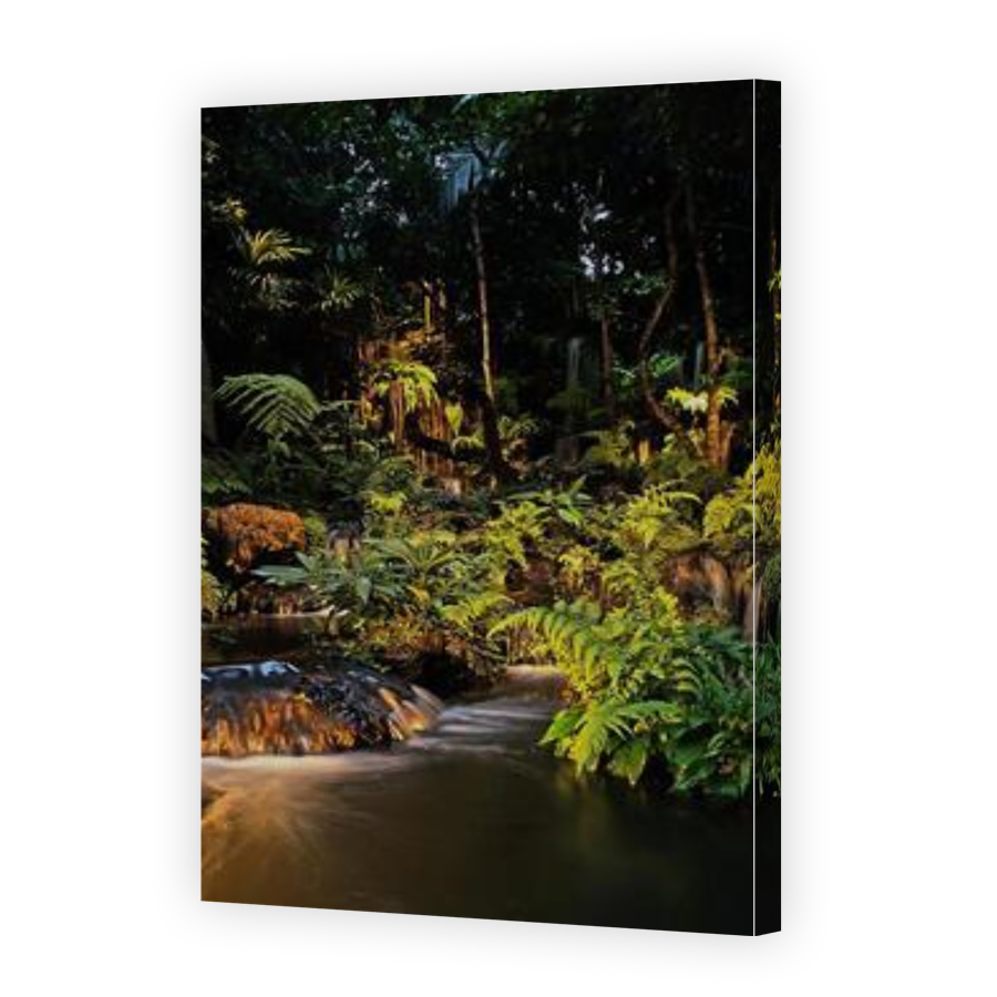 Thumbnail for Canvas - Gallery Canvas Wrap