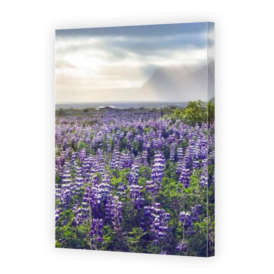 Thumbnail for Canvas - Gallery Canvas Wrap