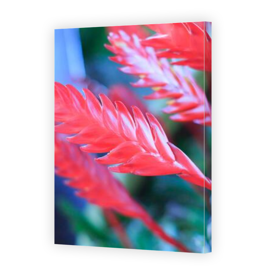Thumbnail for Canvas - Gallery Canvas Wrap