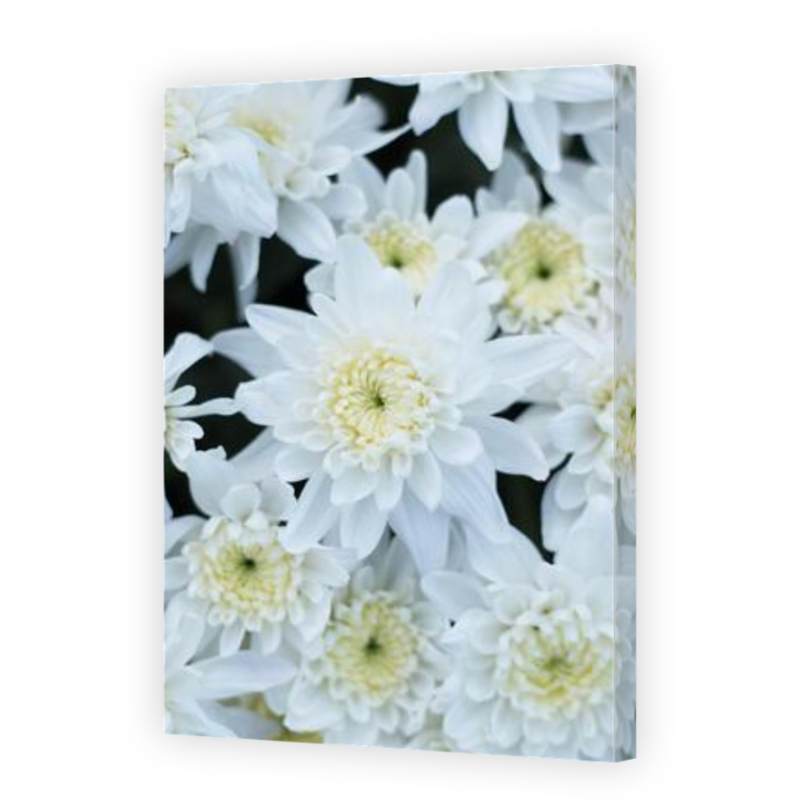 Thumbnail for Canvas - Gallery Canvas Wrap