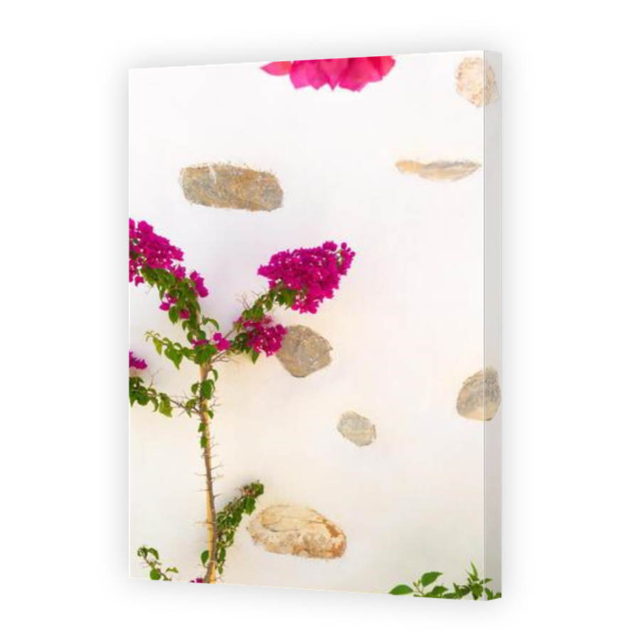 Thumbnail for Canvas - Gallery Canvas Wrap