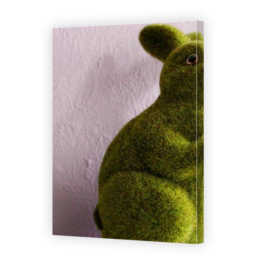 Thumbnail for Canvas - Gallery Canvas Wrap