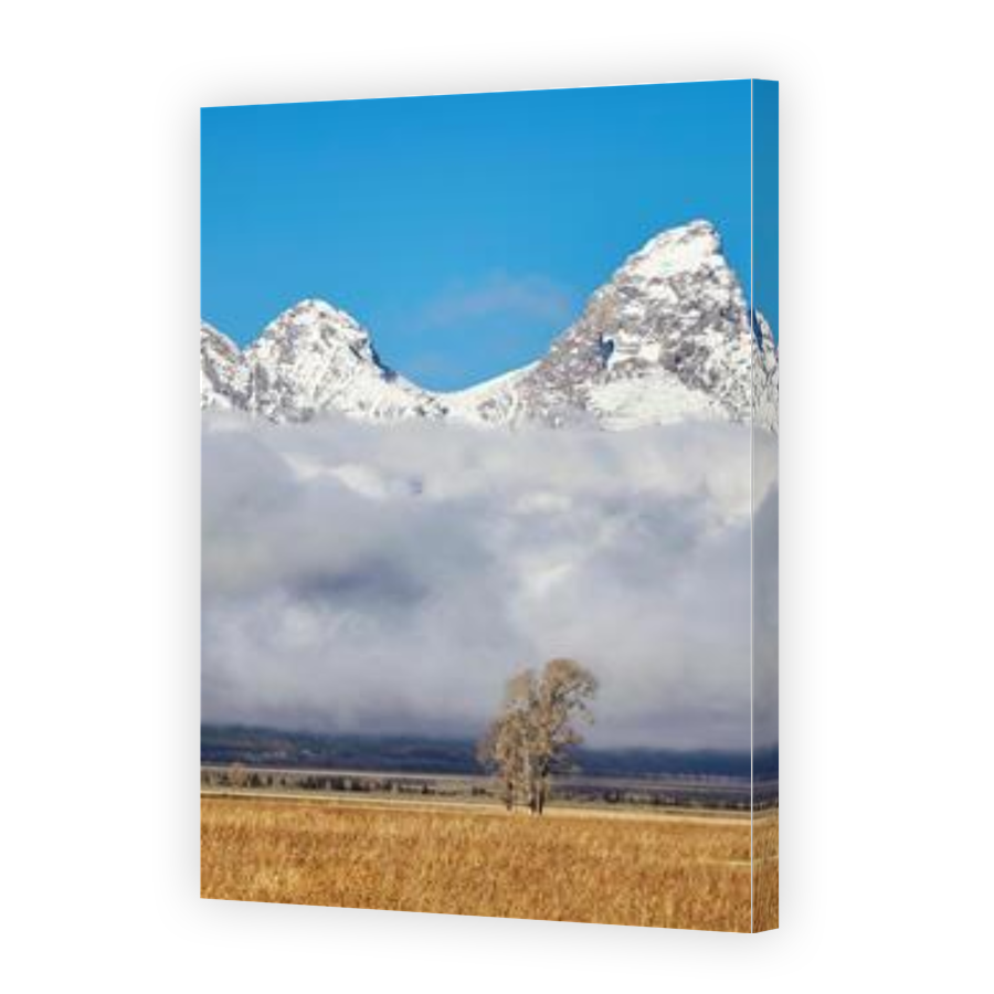 Thumbnail for Canvas - Gallery Canvas Wrap
