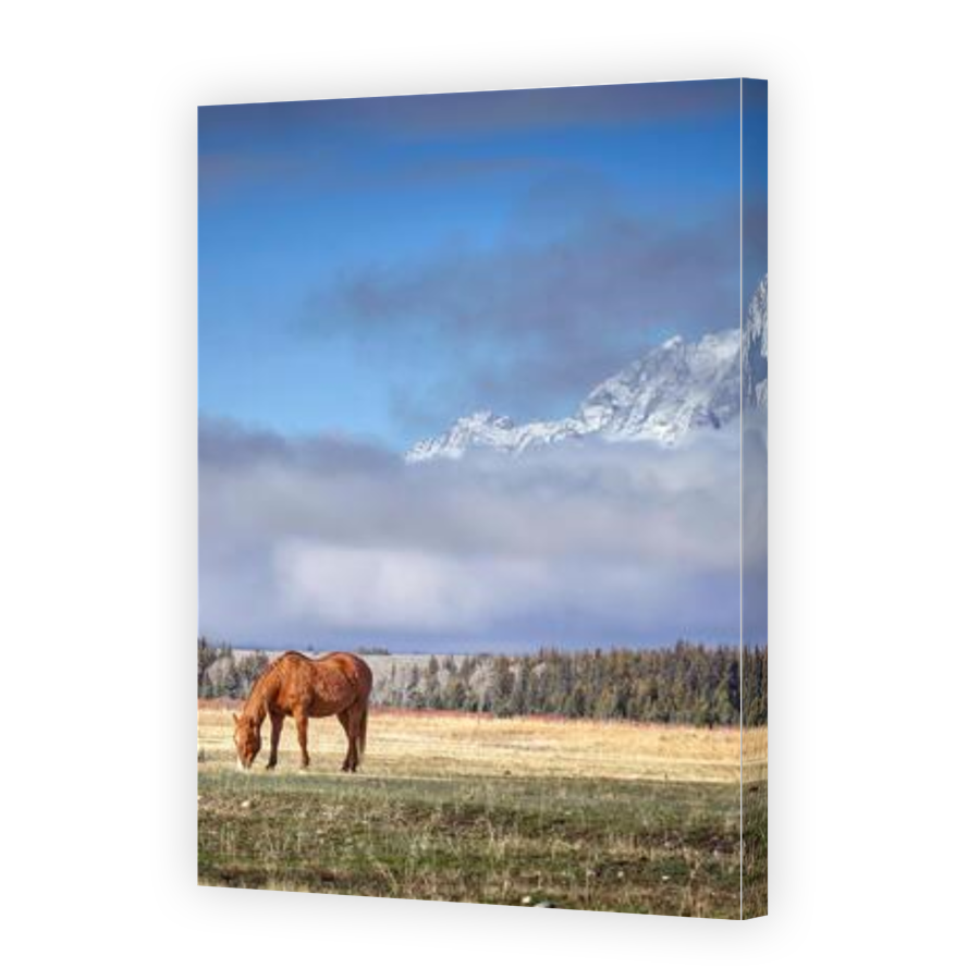 Thumbnail for Canvas - Gallery Canvas Wrap