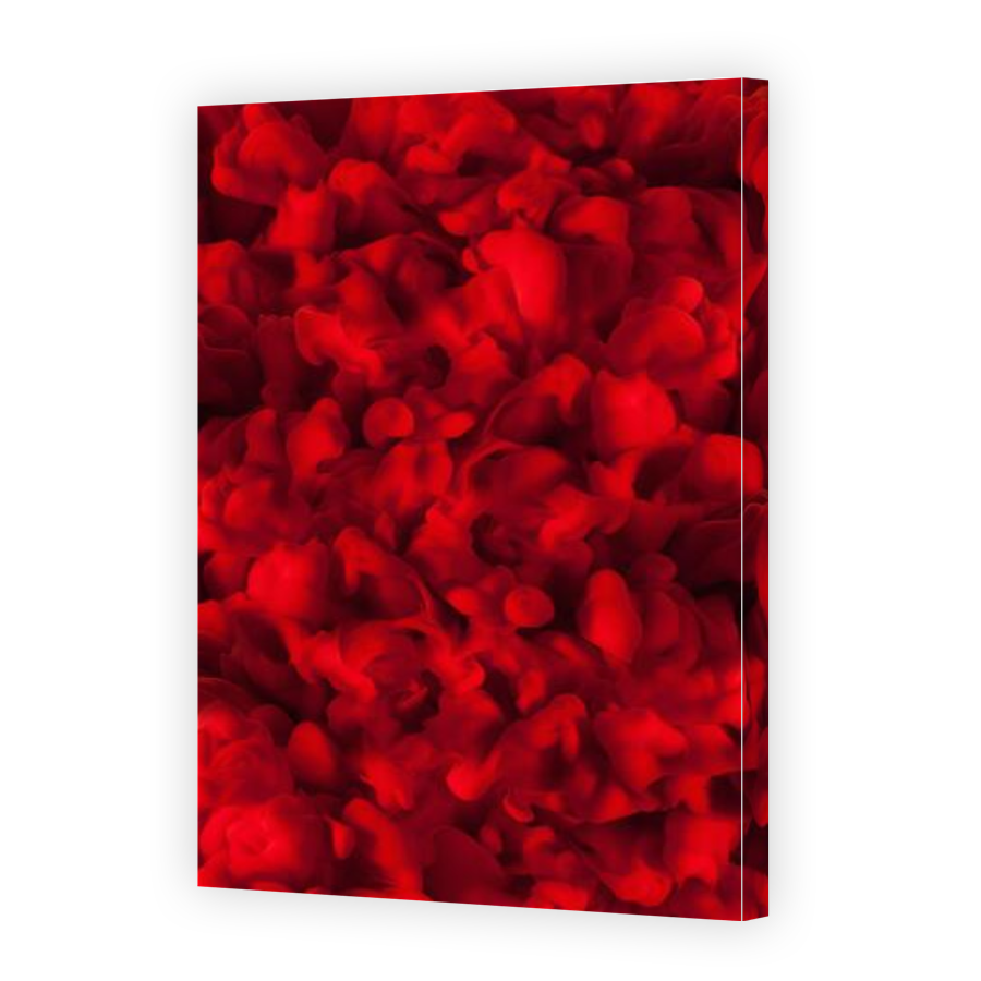 Thumbnail for Canvas - Gallery Canvas Wrap