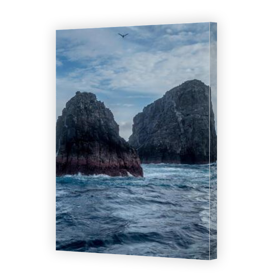 Thumbnail for Canvas - Gallery Canvas Wrap