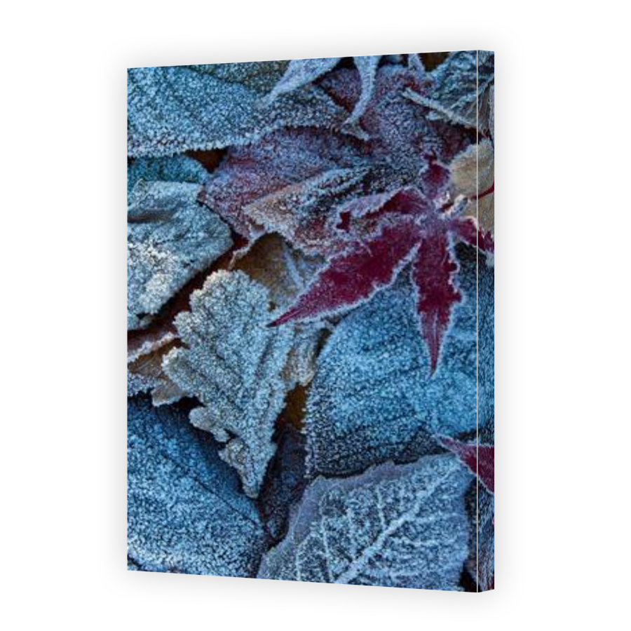 Thumbnail for Canvas - Gallery Canvas Wrap