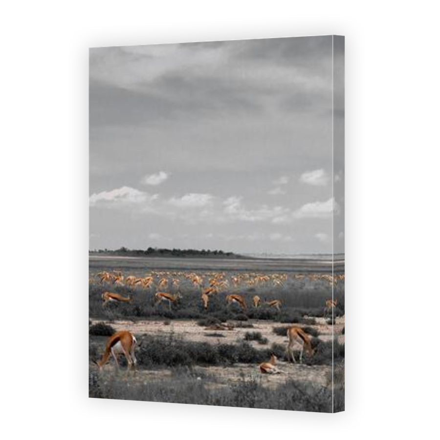 Thumbnail for Canvas - Gallery Canvas Wrap