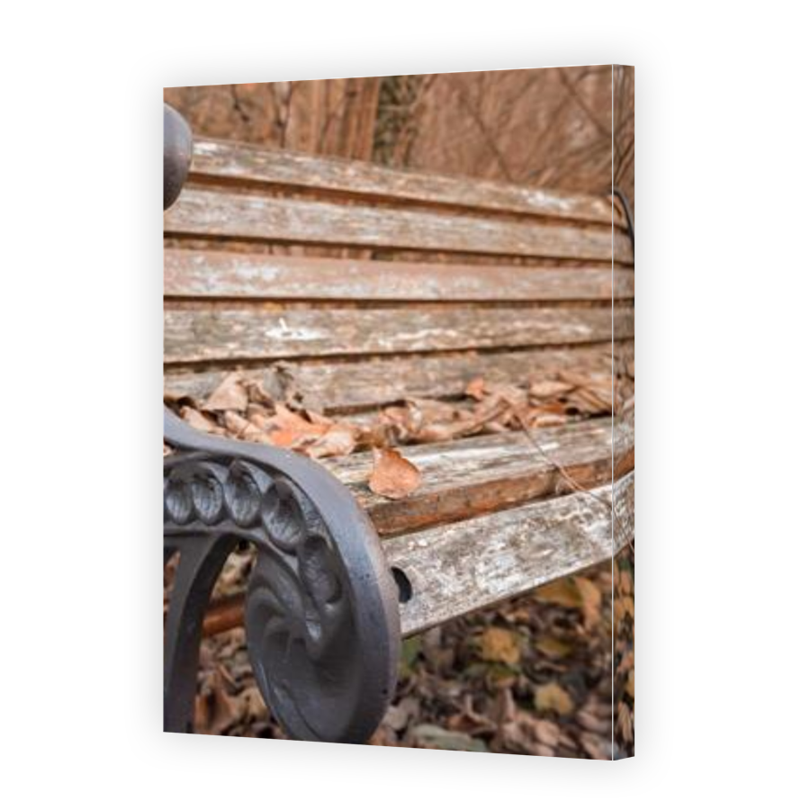 Thumbnail for Canvas - Gallery Canvas Wrap