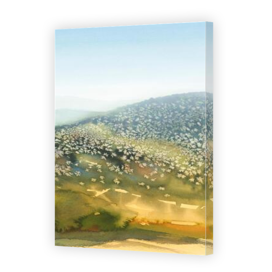 Thumbnail for Canvas - Gallery Canvas Wrap