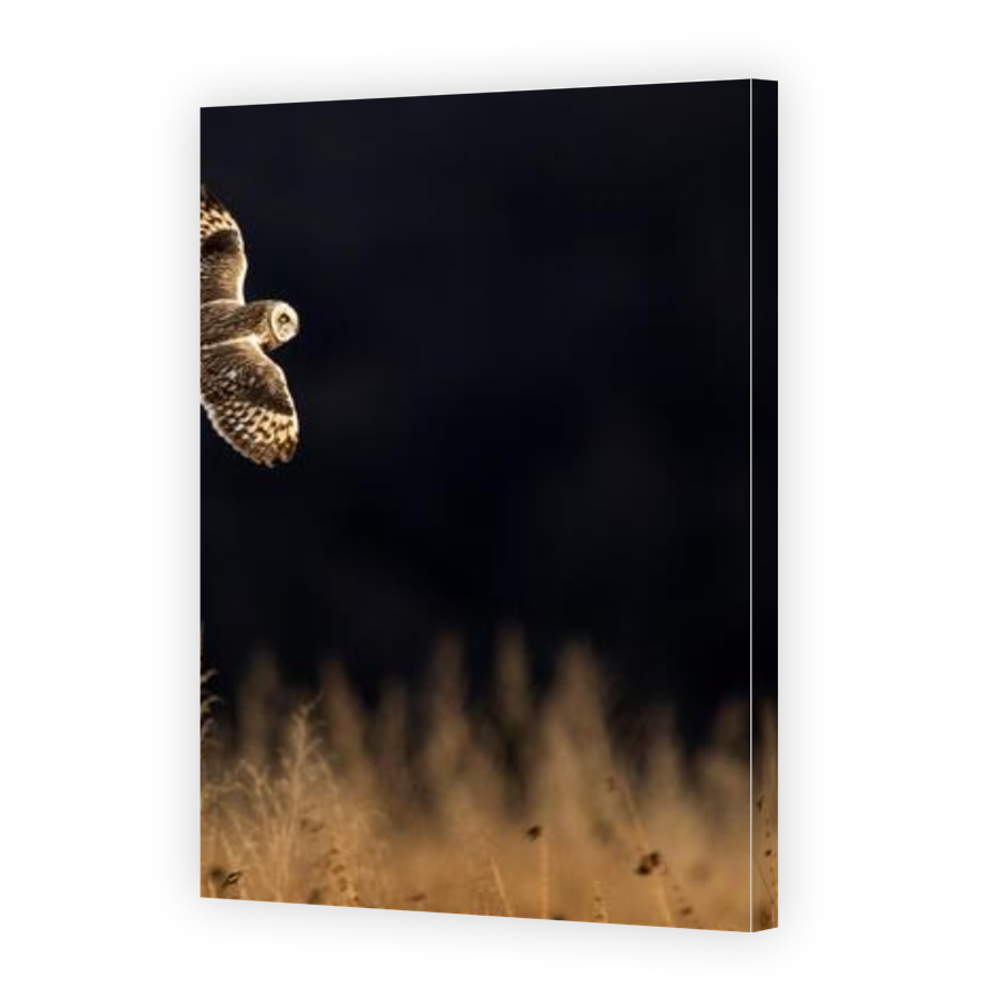 Thumbnail for Canvas - Gallery Canvas Wrap