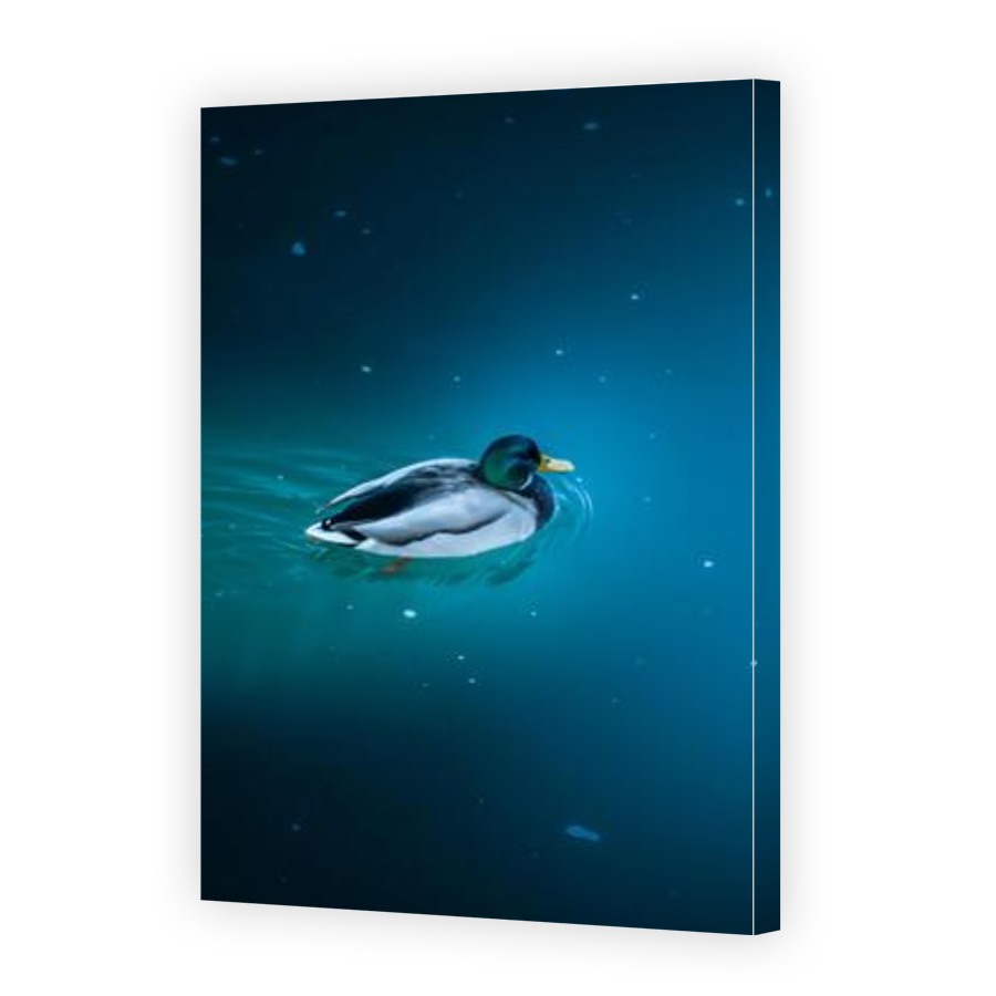 Thumbnail for Canvas - Gallery Canvas Wrap