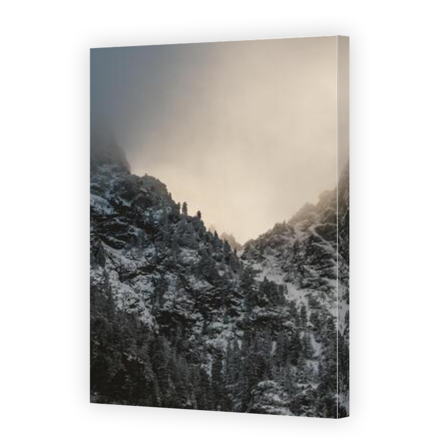 Thumbnail for Canvas - Gallery Canvas Wrap