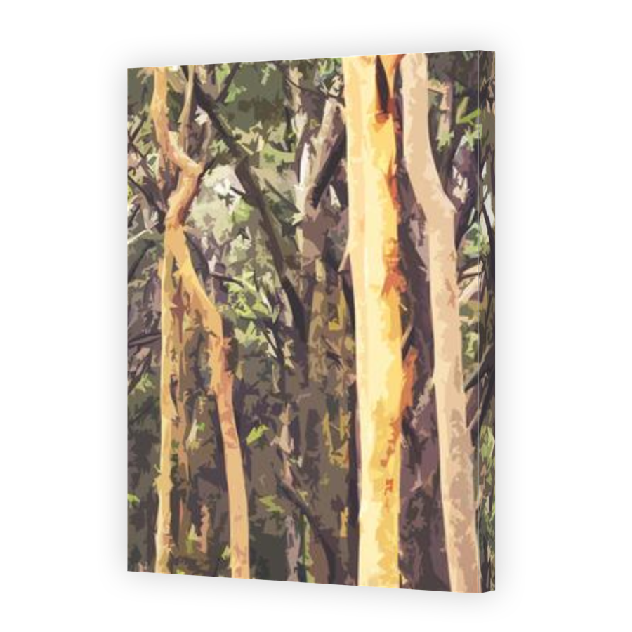 Thumbnail for Canvas - Gallery Canvas Wrap