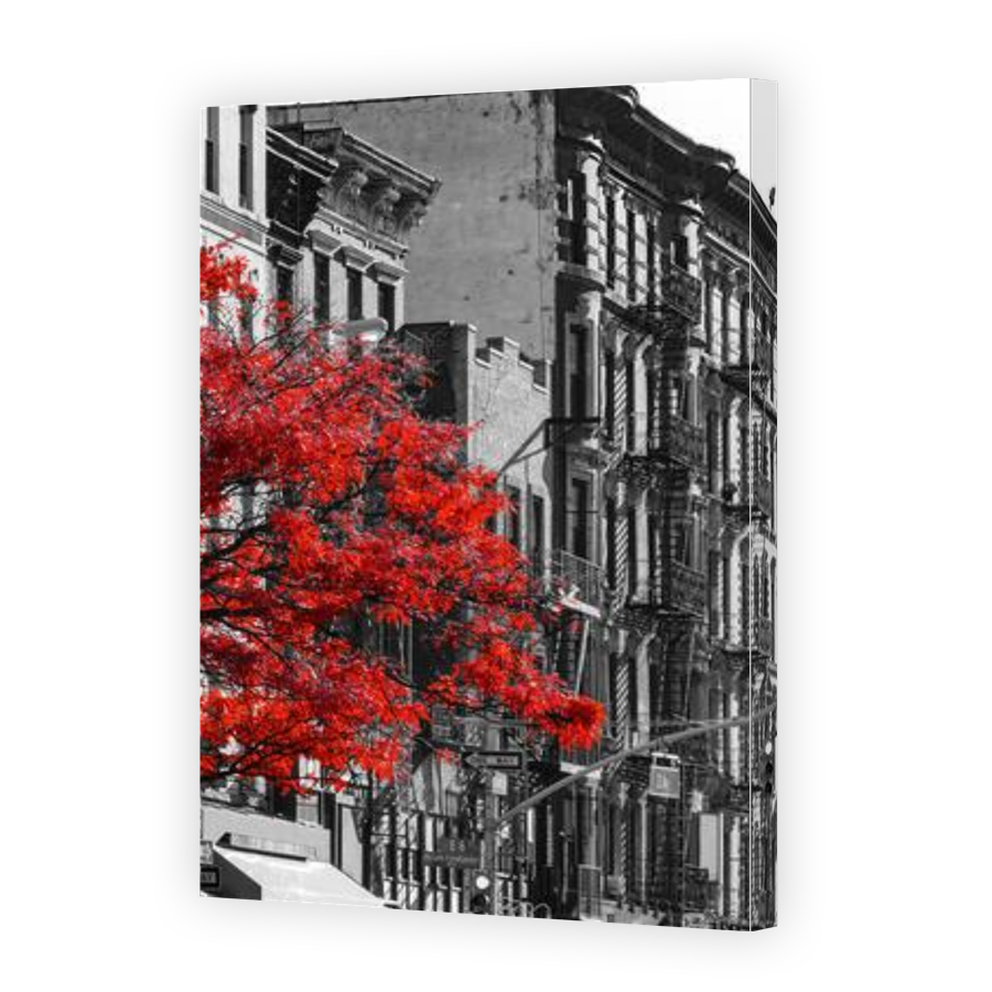 Thumbnail for Canvas - Gallery Canvas Wrap