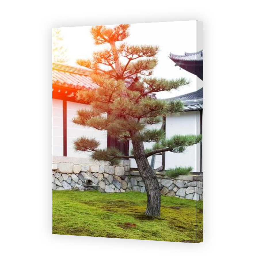 Thumbnail for Canvas - Gallery Canvas Wrap