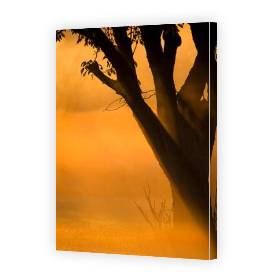 Thumbnail for Canvas - Gallery Canvas Wrap