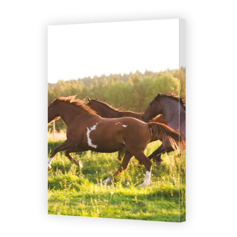 Thumbnail for Canvas - Gallery Canvas Wrap