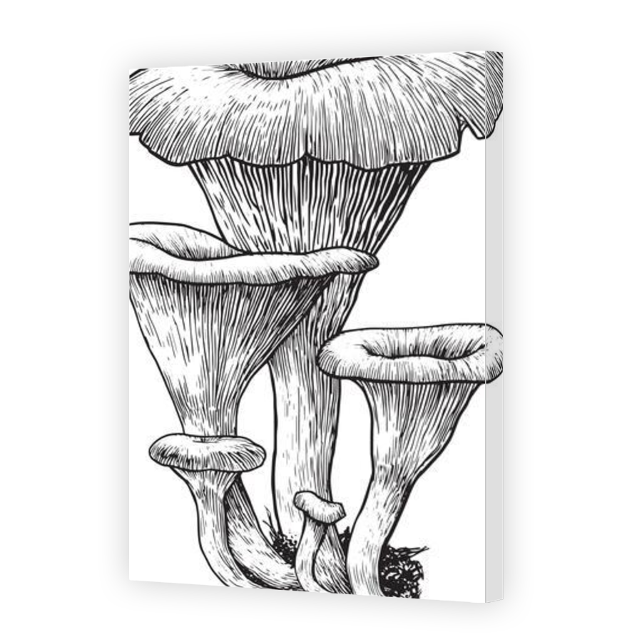 Thumbnail for Canvas - Gallery Canvas Wrap