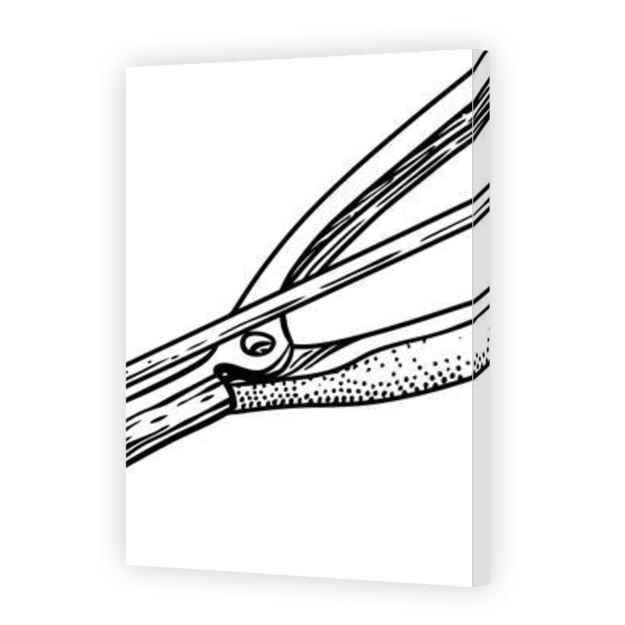 Thumbnail for Canvas - Gallery Canvas Wrap