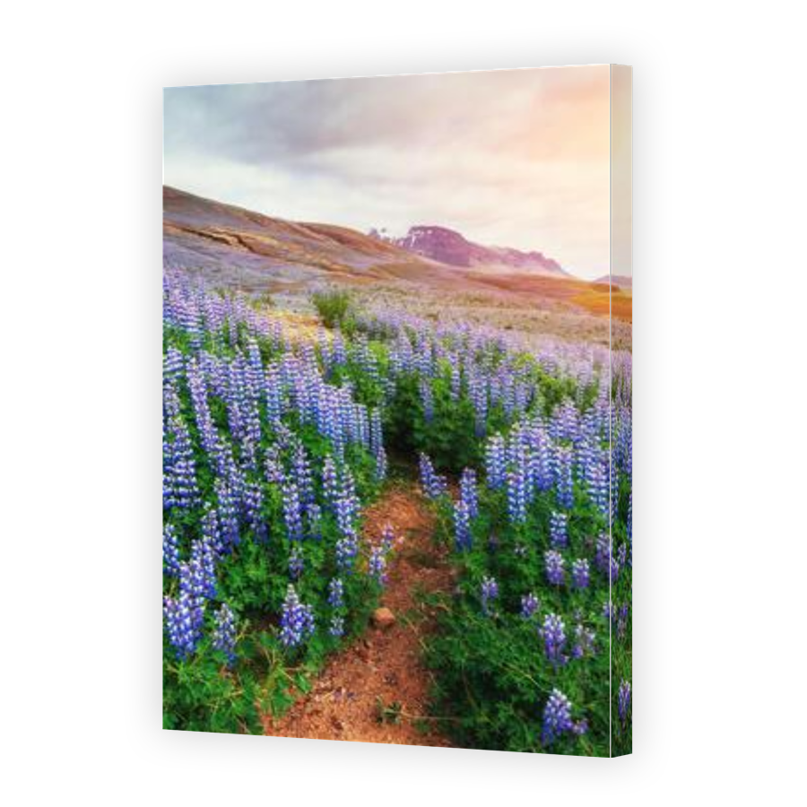 Thumbnail for Canvas - Gallery Canvas Wrap