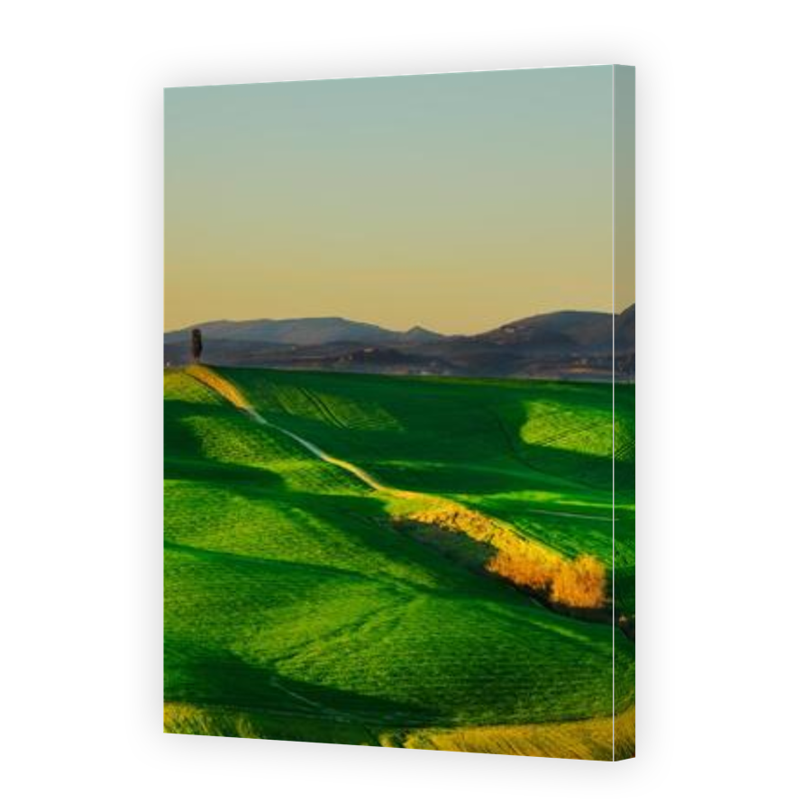 Thumbnail for Canvas - Gallery Canvas Wrap