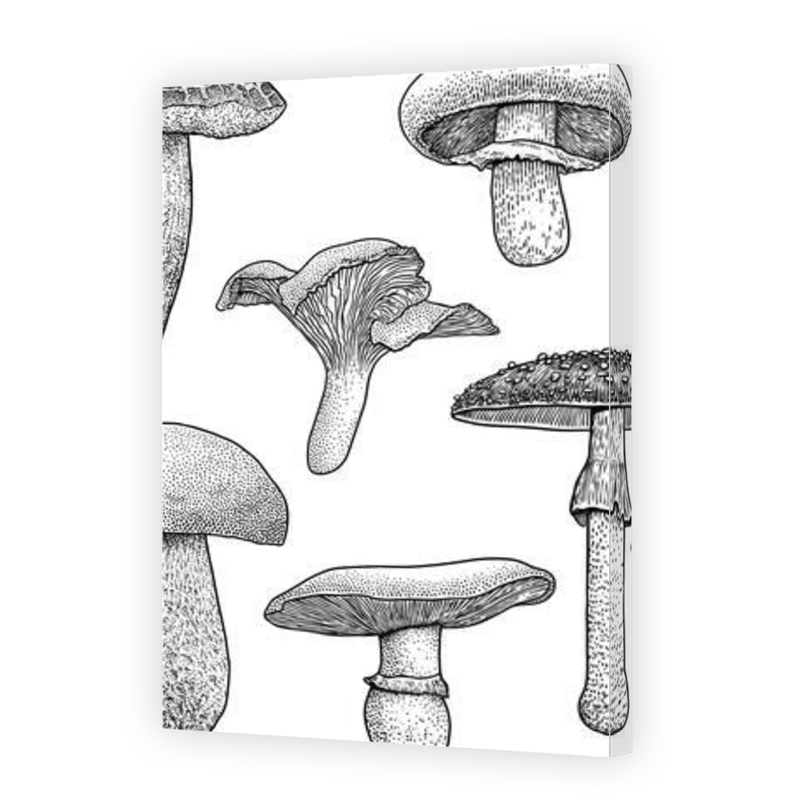 Thumbnail for Canvas - Gallery Canvas Wrap