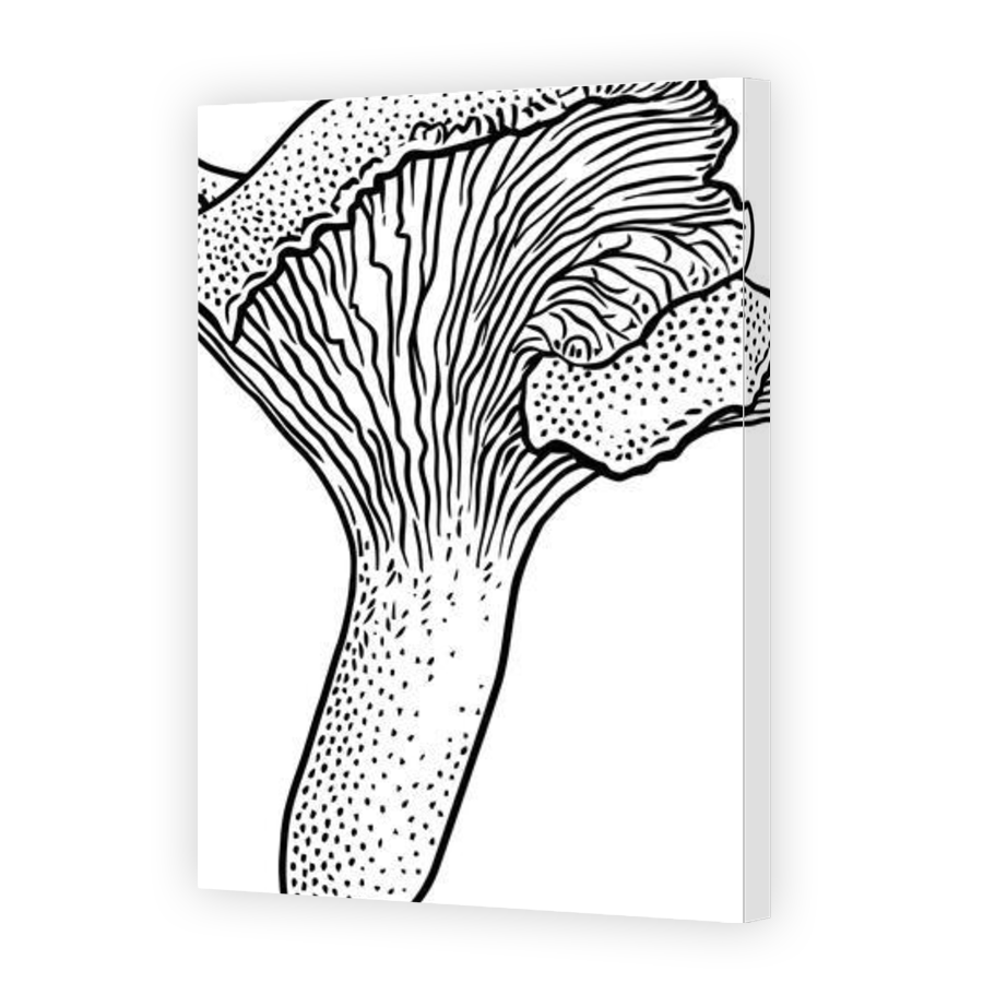 Thumbnail for Canvas - Gallery Canvas Wrap