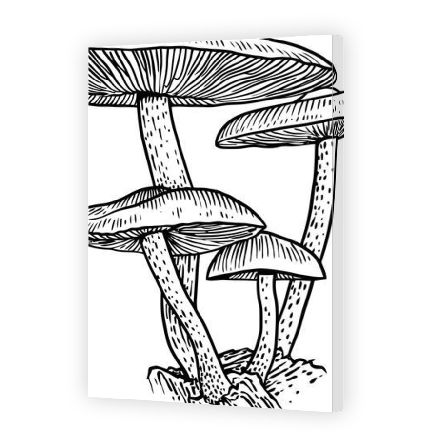 Thumbnail for Canvas - Gallery Canvas Wrap