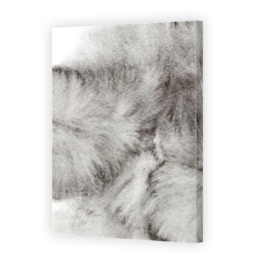 Thumbnail for Canvas - Gallery Canvas Wrap
