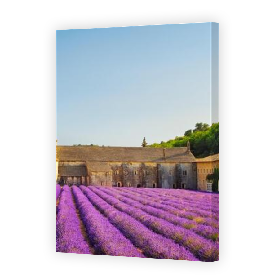 Thumbnail for Canvas - Gallery Canvas Wrap