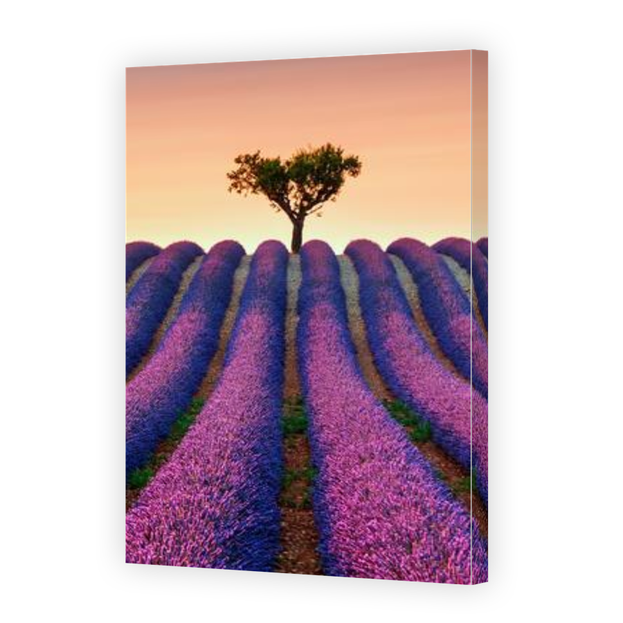 Thumbnail for Canvas - Gallery Canvas Wrap