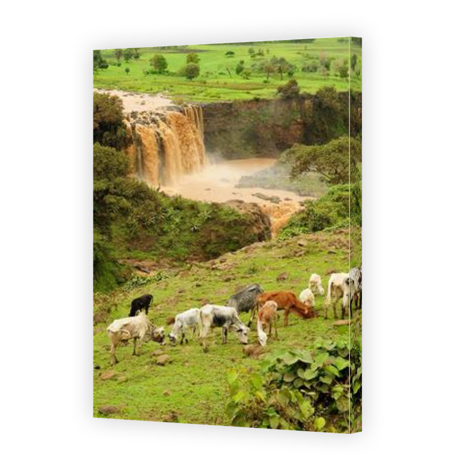 Thumbnail for Canvas - Gallery Canvas Wrap